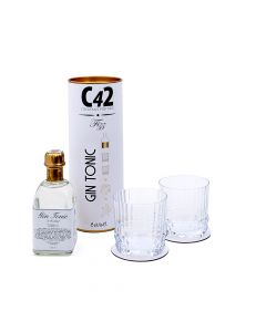 C42 FIZZ COCKTAILS FOR TWO GIN TONIC EVVIVA